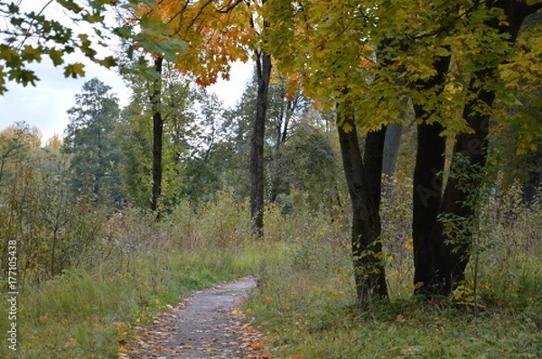 Obraz Осенние мотивы