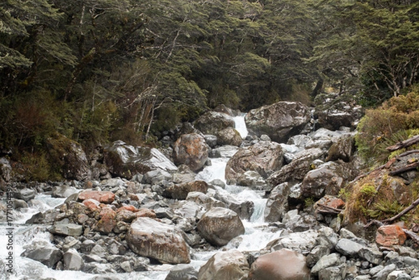 Fototapeta Serene mountain stream flowing through rocky forest landscape