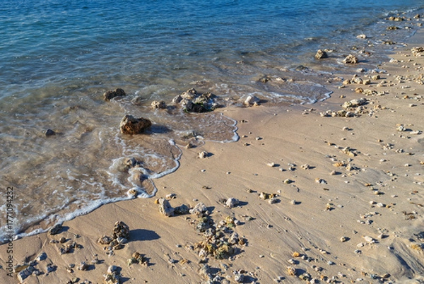 Fototapeta Seascape of Blue Ocean Water on a Sand Beach with Shells and Coral Rocks in Honolulu, Hawaii.