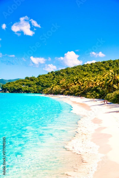 Obraz カリブ海の美しい珊瑚礁のビーチ