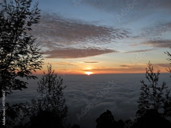 Fototapeta over the clouds