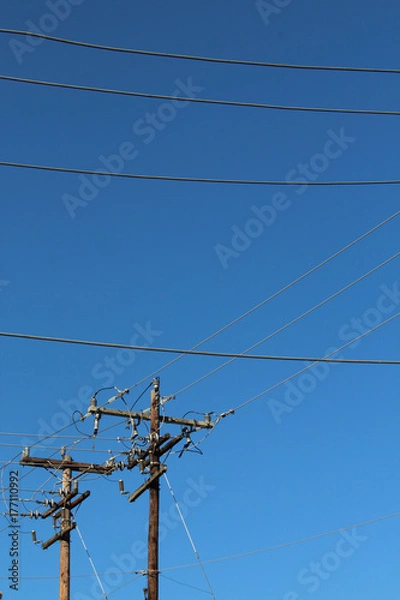 Fototapeta Horizontal power lines and vertical power poles background
