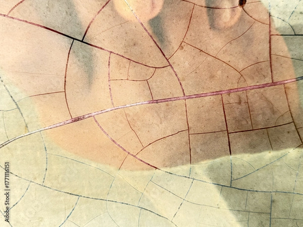 Obraz A leafy pattern is shown with a red line running through it