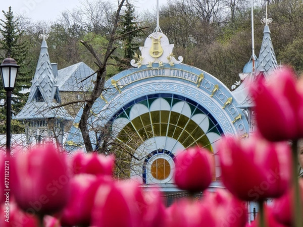Obraz Macro shot of vibrant tulips with the historic Lermontov Gallery in the background. The delicate petals contrast beautifully with the architectural elegance, capturing a blend of nature and culture.