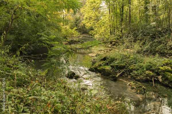 Obraz Venoge river. Swiss