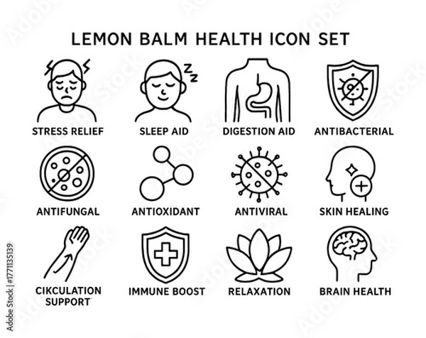 Fototapeta Lemon balm health benefits icon set for stress and immune support