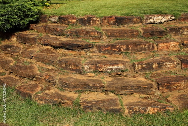 Obraz 中庭の石段