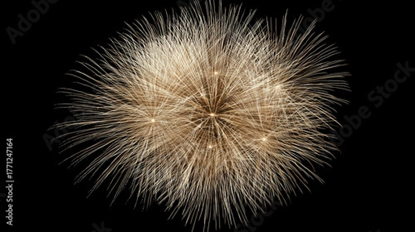 Obraz A golden firework display against a dark background with multiple bursts of light and energy