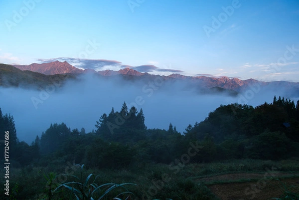 Fototapeta 後立山連峰のモルゲンロート