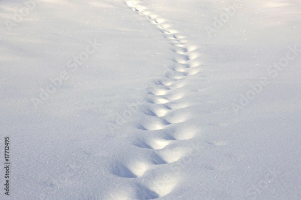 Obraz Spuren im Pulverschnee