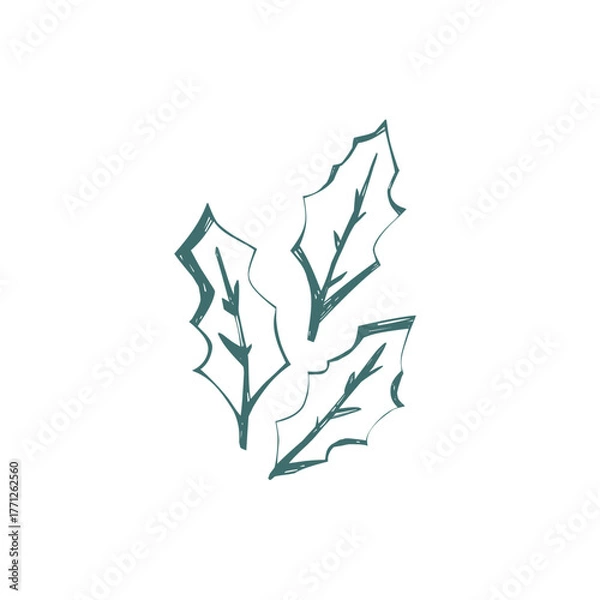 Fototapeta Scandinavian holly leaves illustration in minimal folk art style with hand drawn outline perfect for christmas design and packaging