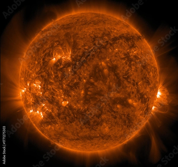 Fototapeta An active sun showing intense solar flares and complex coronal loops during a period of high solar activity.