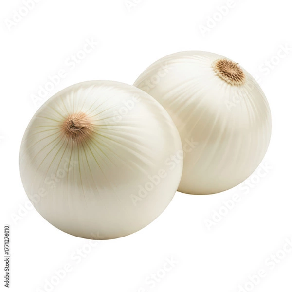 Obraz Two fresh white onions with visible root ends are placed on a plain transparent background