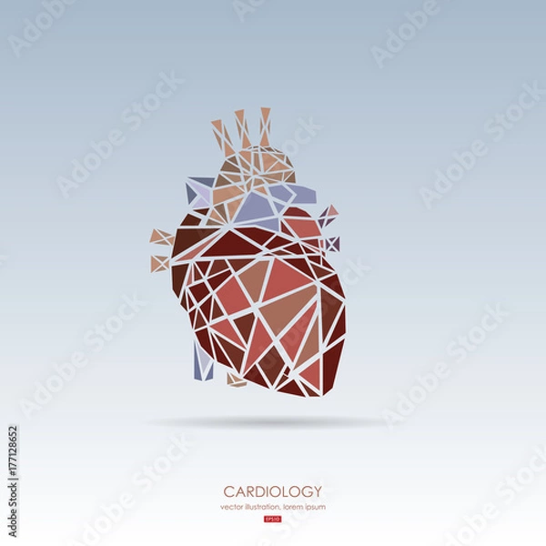 Fototapeta Human heart icon. Vector illustration.