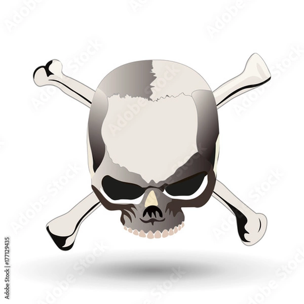 Fototapeta Skull and cross-bones - a mark of the danger warning.
