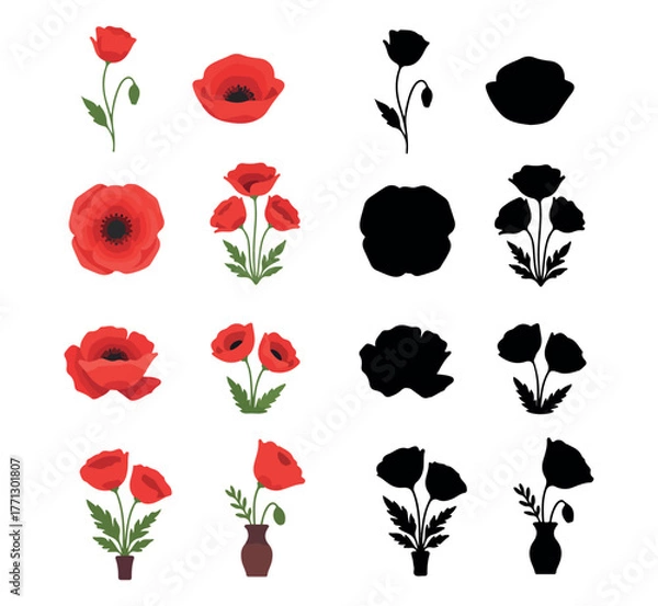 Obraz Collection of vibrant red poppy flowers and their silhouette outlines for artistic design and decoration