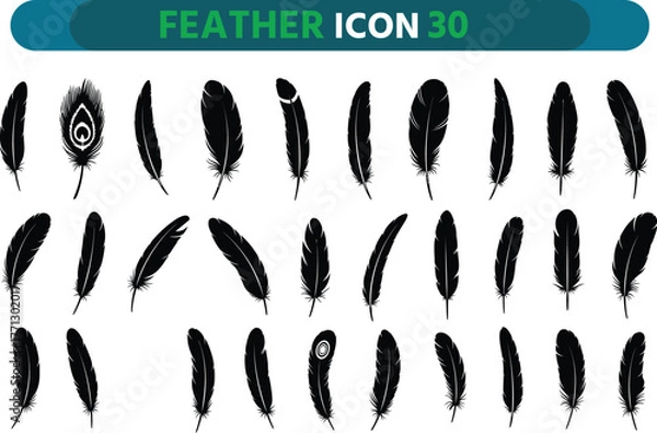 Obraz Collection of diverse black feather icons on white background symbolizing nature and design elements