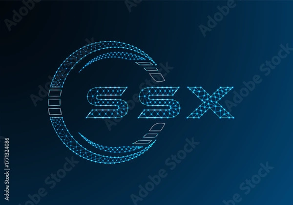 Obraz SSX low poly letter logo vector design. SSX lower poly logo design. Low poly logo.
