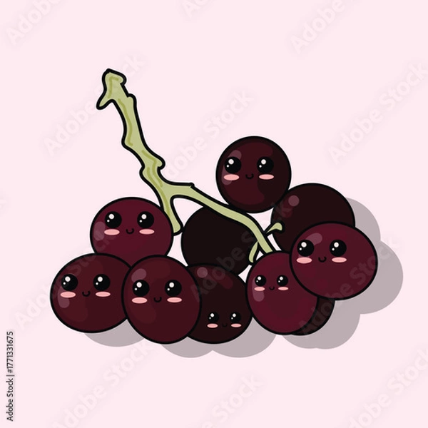 Fototapeta vector illustration of grape cluster
