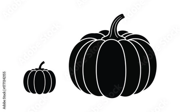 Obraz Two Pumpkins, One Large and One Small, Isolated on White