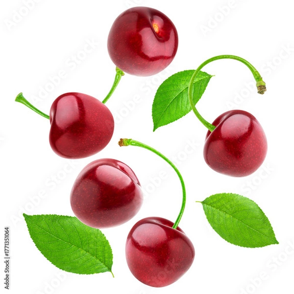 Fototapeta dynamic shot of ripe red cherries with green stems and leaves, captured flying or falling, isolated cleanly against a dark transparent background.