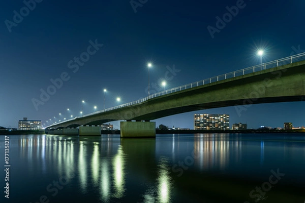 Obraz 夜の小戸之橋