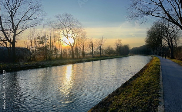 Fototapeta A tranquil sunrise over a calm canal, with trees lining the water's edge, creating a peaceful atmosphere.