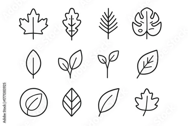 Fototapeta Set of Simple Minimalist Leaf Icons in Line Style
