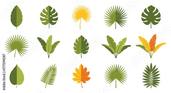 Obraz Tropical leaf vector design set with palm botanical foliage