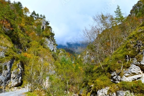 Obraz View of Draga valley in Karavanke , Gorenjska, Slovenia