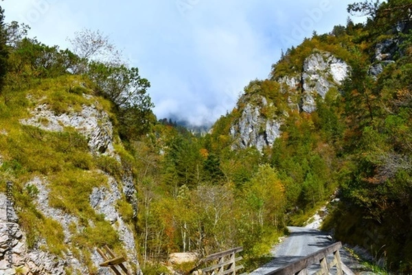 Fototapeta Gravel road and a cliff above in Draga valley in Karavanke, Gorenjska, Slovenia