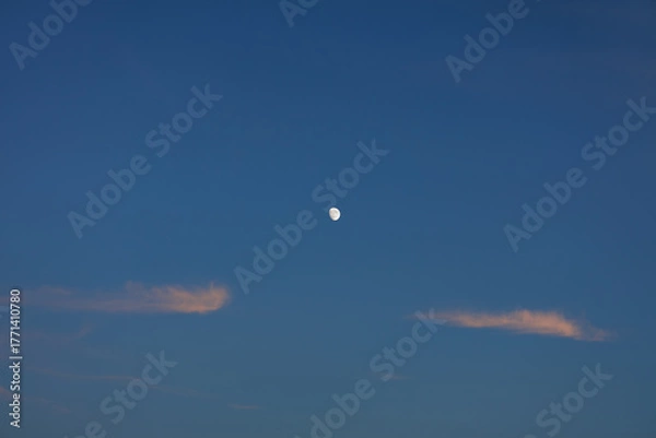 Obraz Serene moon hangs high in clear dusk sky, flanked by soft wispy clouds showing hint of pink hue from sunset's scattering sunlight.