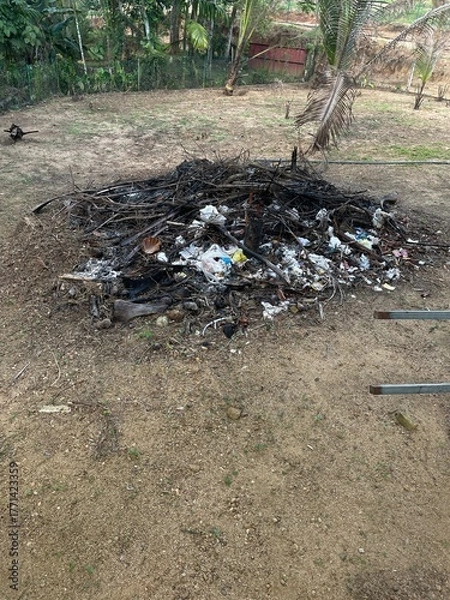 Obraz garbage in the forest