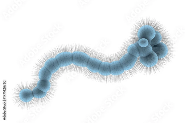 Obraz An abstract, segmented, light blue cellular or worm-like structure with a spiky, hairy outer layer, resembling a microorganism on a dark transparent background. background removed