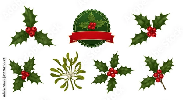 Obraz Festive Holly and Mistletoe Vector Pack for Holiday Designs