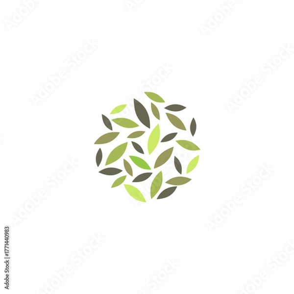 Fototapeta An Evocative Assemblage of Botanical Leaves: A Delicate Circular Composition of Verdant Elements Symbolizing Growth, Wellness, and the Enduring Beauty of Nature, 158 Characters