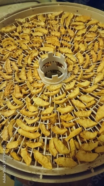 Obraz Cutted apples for winter