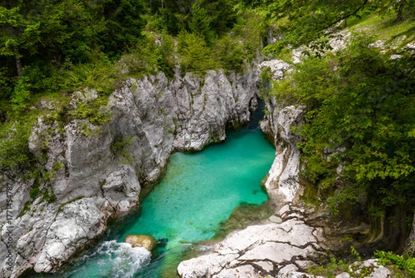 Fototapeta crystal clear turquoise river flowing through a rocky canyon covered by lush greenery. wild untouched alpine nature, cliffs, and crystal