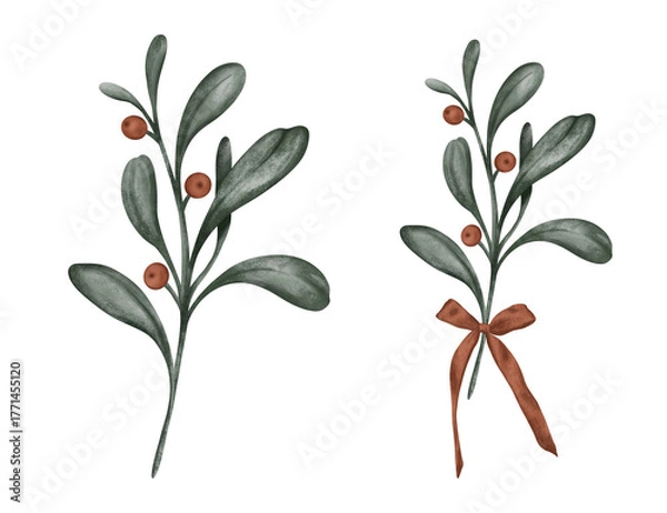Fototapeta Set of illustration of a Christmas branches with red berries and bow isolated on white is a popular element in botanical art and floral design, often used for New year design
