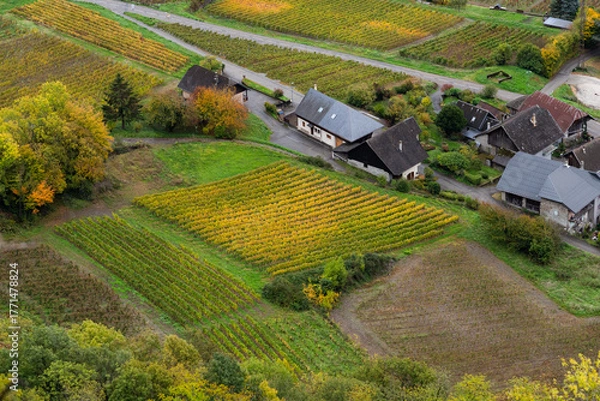 Fototapeta An aerial view of row of vineyard in French alps in Savoie region with small village of viticulture, golden color nature during autumn