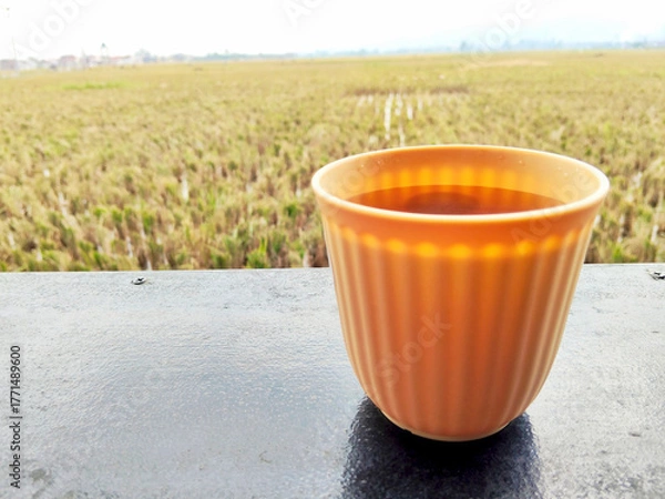 Fototapeta Warming Orange Cup of Hot Tea on a Table Overlooking Vast Harvested Paddy Field