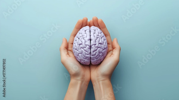 Fototapeta A pair of hands is depicted holding a light purple anatomical brain model against a pastel blue background, representing themes of mental health, mindfulness, and cognitive care.