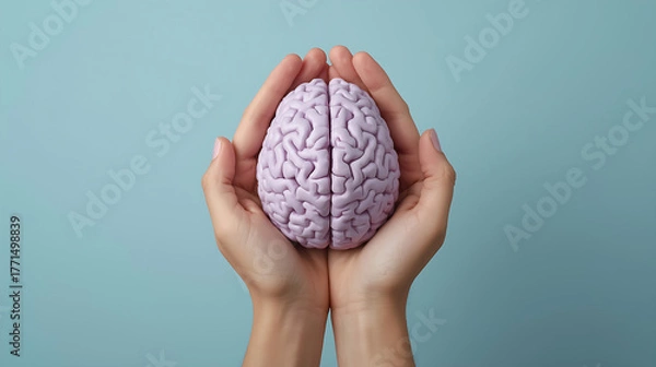 Fototapeta A pair of hands is depicted holding a light purple anatomical brain model against a pastel blue background, representing themes of mental health, mindfulness, and cognitive care.