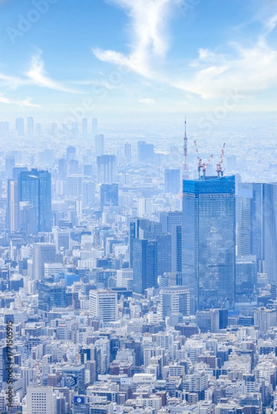 Obraz 	東京スカイツリーから見た景色｜縦位置