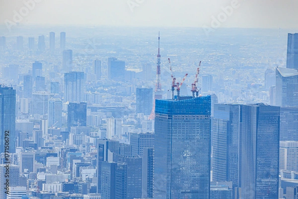 Obraz 	東京スカイツリーから見た東京タワー