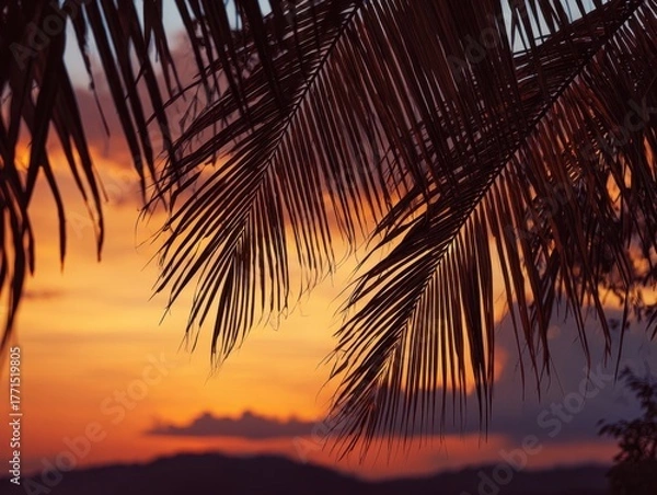Obraz Vibrant Tropical Sunset Silhouettes Palm Fronds against Fiery Orange and Purple Sky Warm Evening Light Illuminating Exotic Landscape Dusk Horizon Scenic View