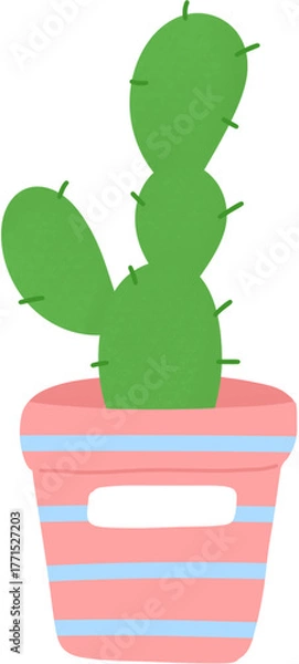 Fototapeta 선인장 화분
