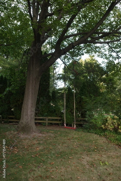 Obraz swing in the park