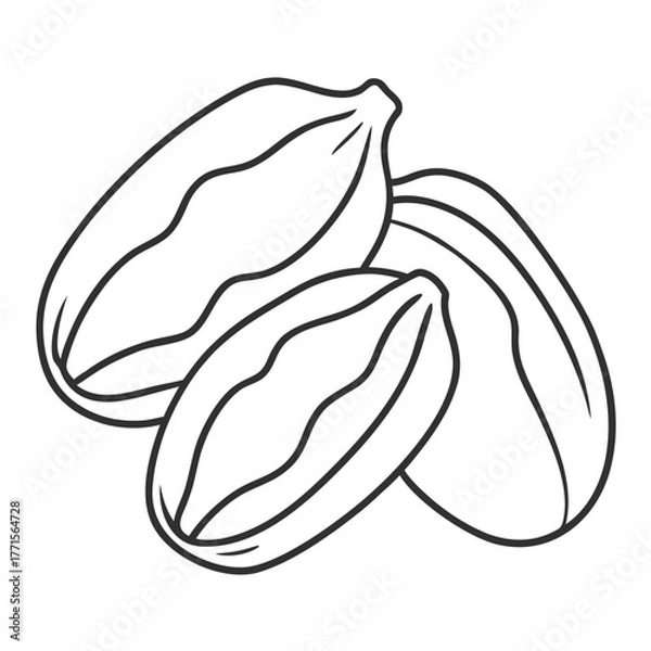 Fototapeta line art dates fruit on white