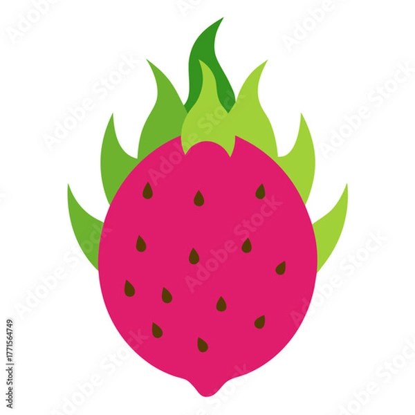 Fototapeta dragonfruit vector